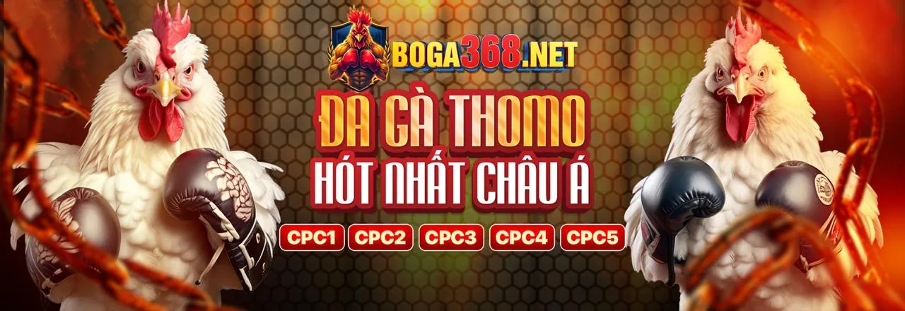 Hướng dẫn đăng nhập 79king2 an toàn